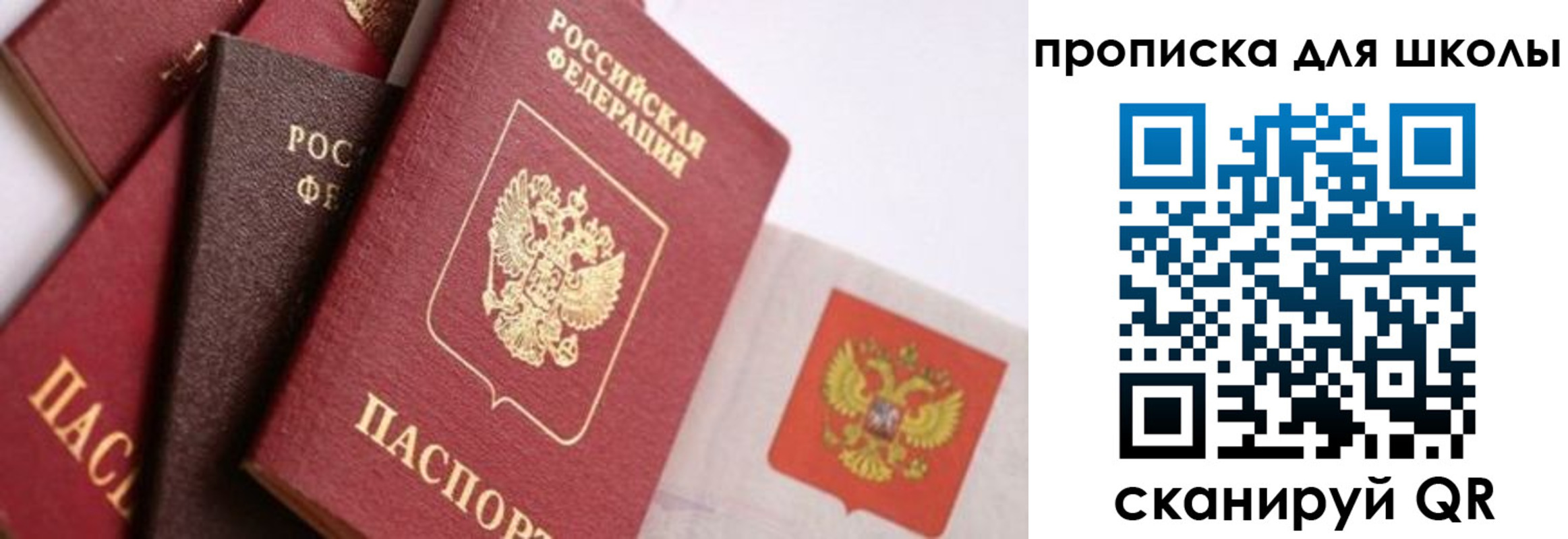 прописка поиск в Оренбургской области